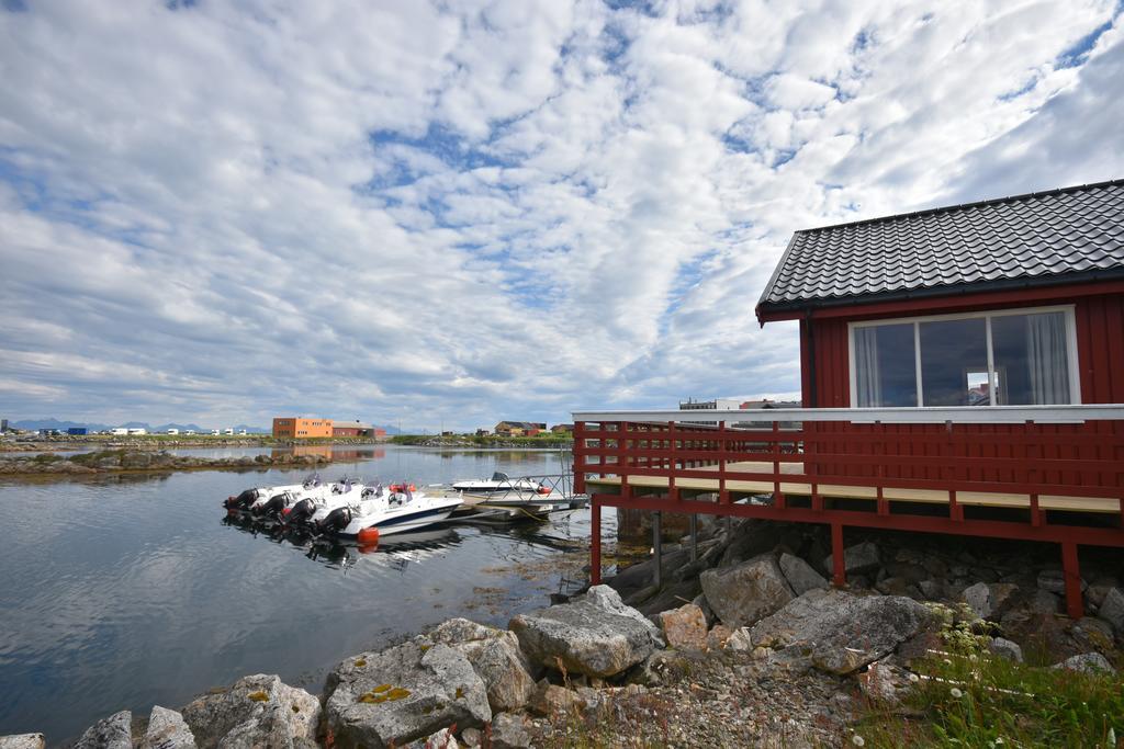 Lankanholmen Andenes